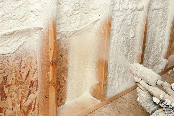 Trusted Warm Springs, CA Insulation Removal & Installation Experts